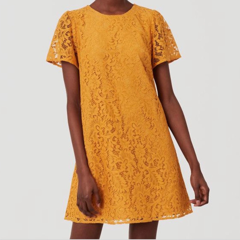 NWT LOFT Flutter Lace Dress size 4